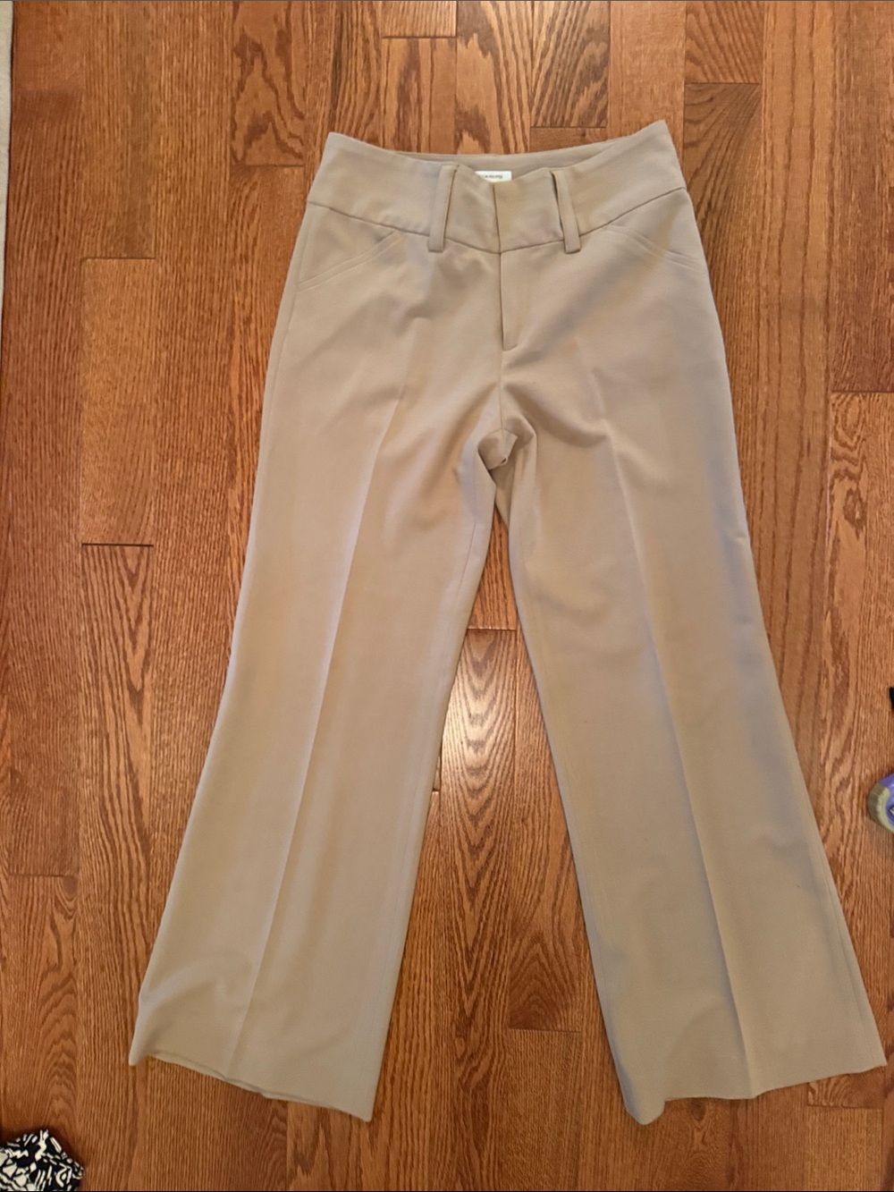 Boston Proper Light beige Wide-Leg Ponte Pants